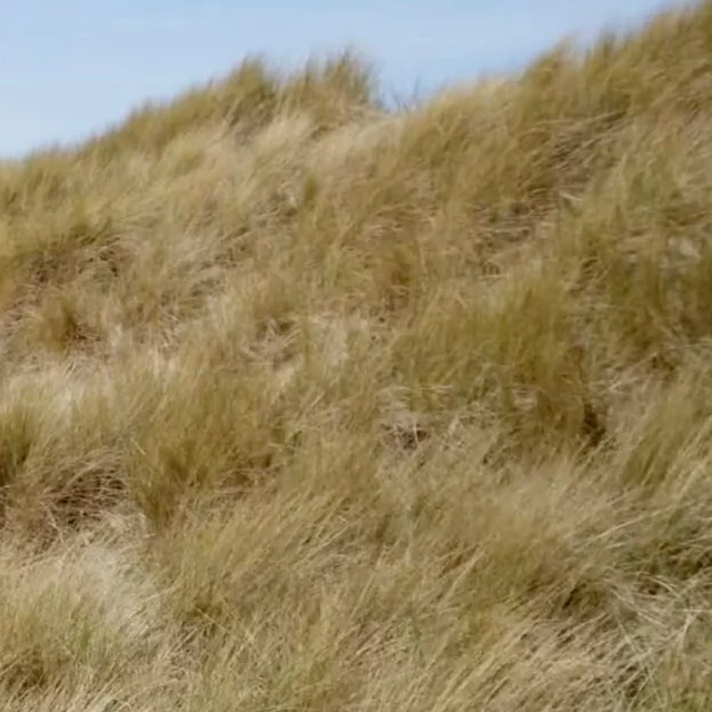 Troisième Nature (2022)
photo : @stanislav_dobak